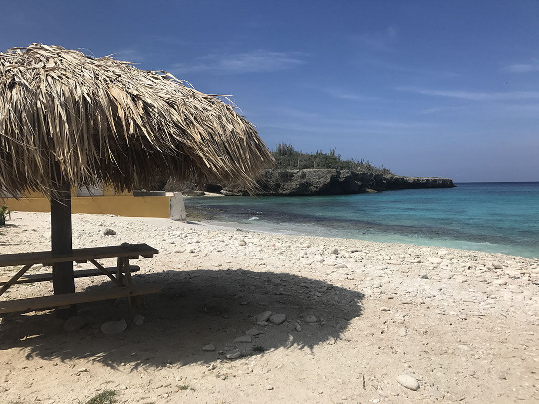 Palapa above the beach at Wayaka, Washington-Slagbaai
